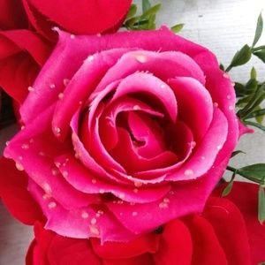 Meet your Posher, Patti